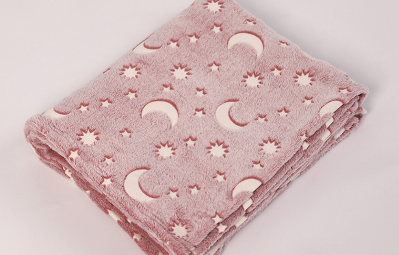 Custom Size Popular American Style Polyster Pink Color Luminous Printing Coral Flannel Blanket 