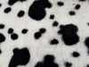 Super Soft 100% Polyster Fleece Blankets Heavy Thick Winter Use Luxury Cow Printing Faux Rabbit Fur Blankets